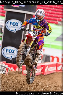 bisceglia_009_supercross_us_2015_las_vegas.jpg