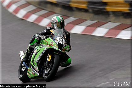 saiger_001_macao_2012.jpg