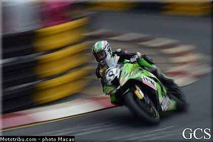 saiger_002_macao_2012.jpg