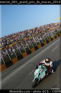 mercer_001_grand_prix_de_macao_2014.jpg