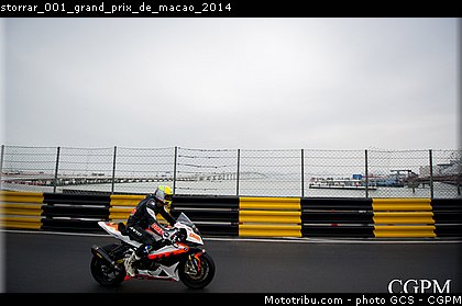 storrar_001_grand_prix_de_macao_2014.jpg