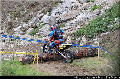 seel_004_scorpion_master_2013_circuit_paul_ricard.jpg