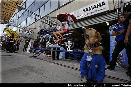 rac41_003_endurance_2013_france_24h_du_mans_moto.jpg