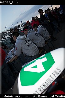 metiss_002.jpg
