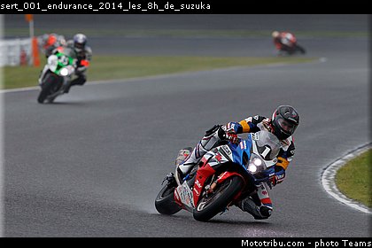 sert_001_endurance_2014_les_8h_de_suzuka.jpg
