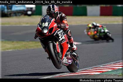 tsuda_001_endurance_2014_les_8h_de_suzuka.jpg