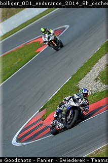 bolliger_001_endurance_2014_8h_oschersleben.jpg