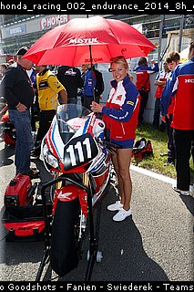 honda_racing_002_endurance_2014_8h_oschersleben.jpg