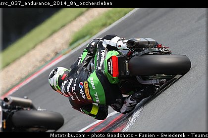 src_037_endurance_2014_8h_oschersleben.jpg