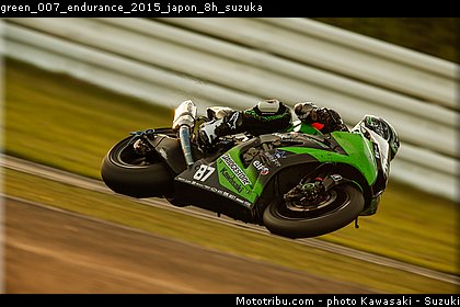 green_007_endurance_2015_japon_8h_suzuka.jpg