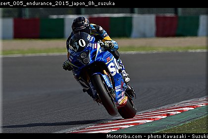 sert_005_endurance_2015_japon_8h_suzuka.jpg