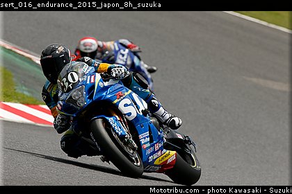 sert_016_endurance_2015_japon_8h_suzuka.jpg