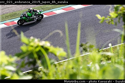 src_021_endurance_2015_japon_8h_suzuka.jpg