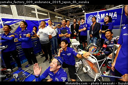 yamaha_factory_009_endurance_2015_japon_8h_suzuka.jpg
