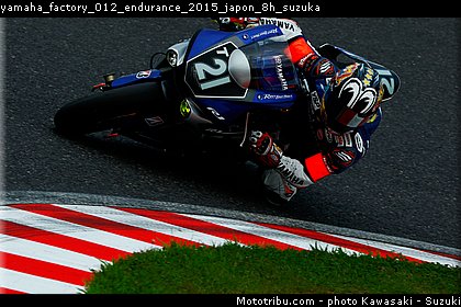 yamaha_factory_012_endurance_2015_japon_8h_suzuka.jpg