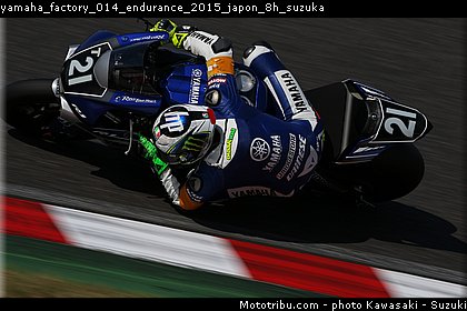 yamaha_factory_014_endurance_2015_japon_8h_suzuka.jpg
