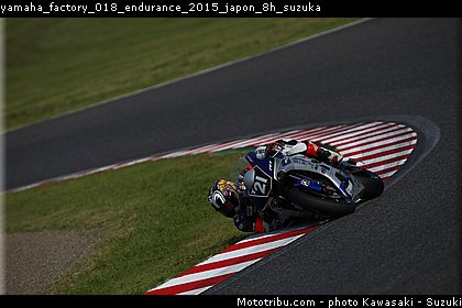yamaha_factory_018_endurance_2015_japon_8h_suzuka.jpg