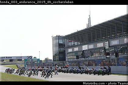 honda_003_endurance_2015_8h_oschersleben.jpg