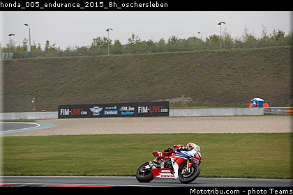 honda_005_endurance_2015_8h_oschersleben.jpg