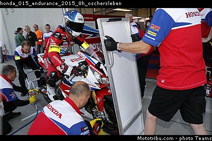 honda_015_endurance_2015_8h_oschersleben.jpg