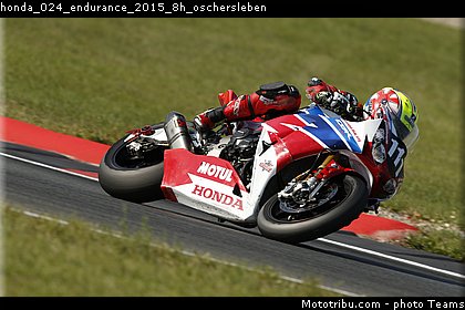 honda_024_endurance_2015_8h_oschersleben.jpg