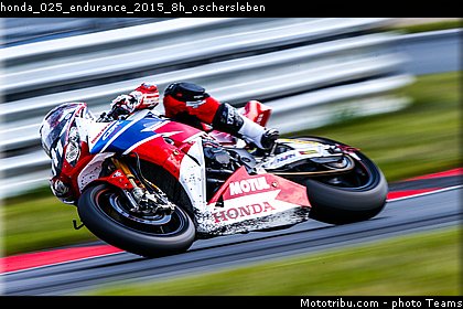 honda_025_endurance_2015_8h_oschersleben.jpg