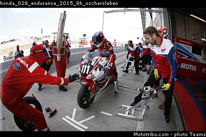 honda_028_endurance_2015_8h_oschersleben.jpg