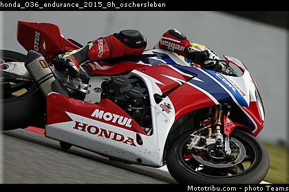 honda_036_endurance_2015_8h_oschersleben.jpg