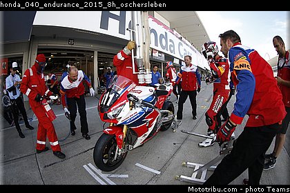 honda_040_endurance_2015_8h_oschersleben.jpg