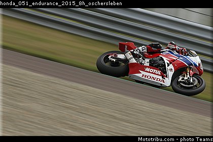honda_051_endurance_2015_8h_oschersleben.jpg