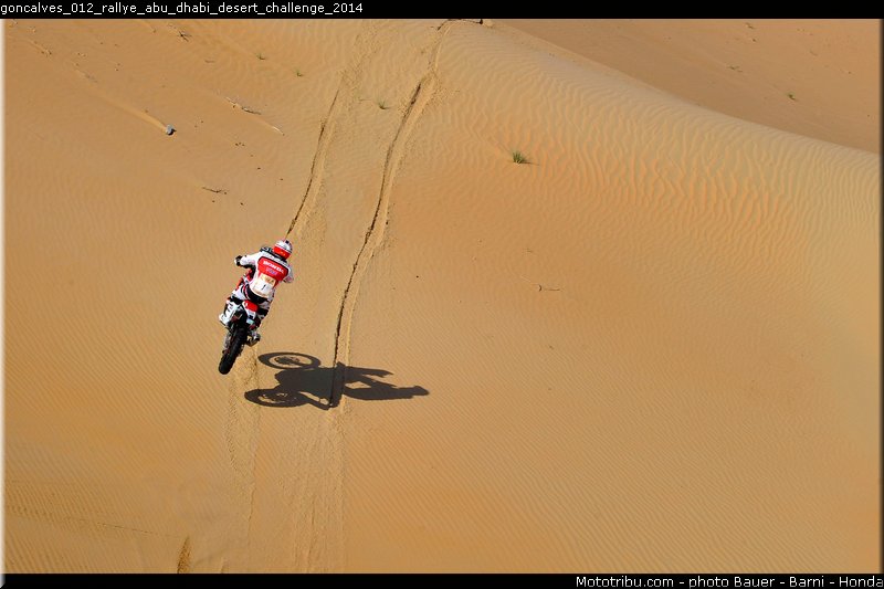 goncalves_012_rallye_abu_dhabi_desert_challenge_2014
