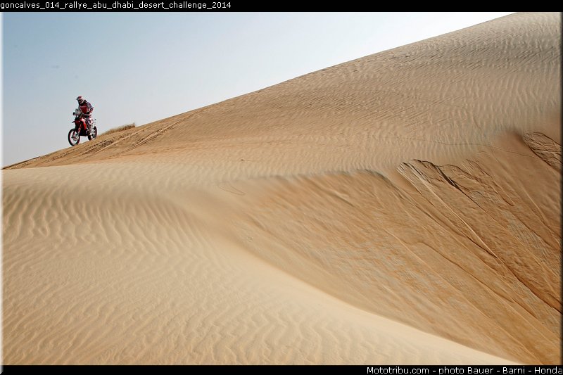 goncalves_014_rallye_abu_dhabi_desert_challenge_2014