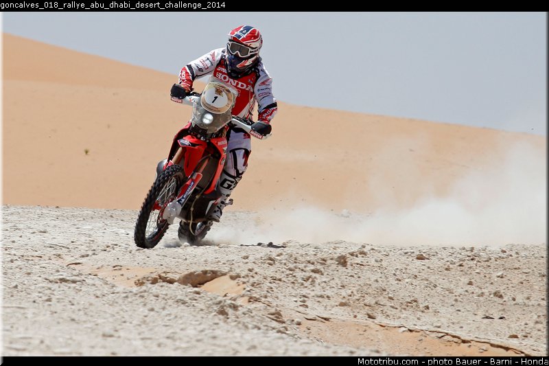 goncalves_018_rallye_abu_dhabi_desert_challenge_2014