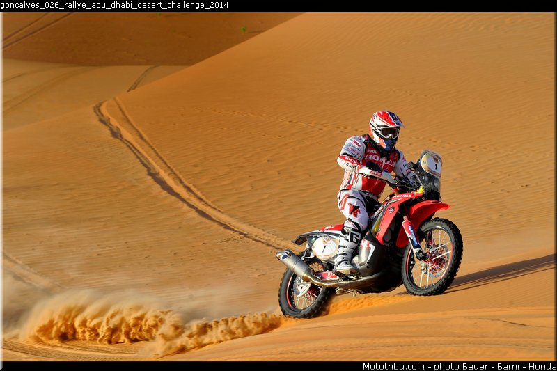 goncalves_026_rallye_abu_dhabi_desert_challenge_2014