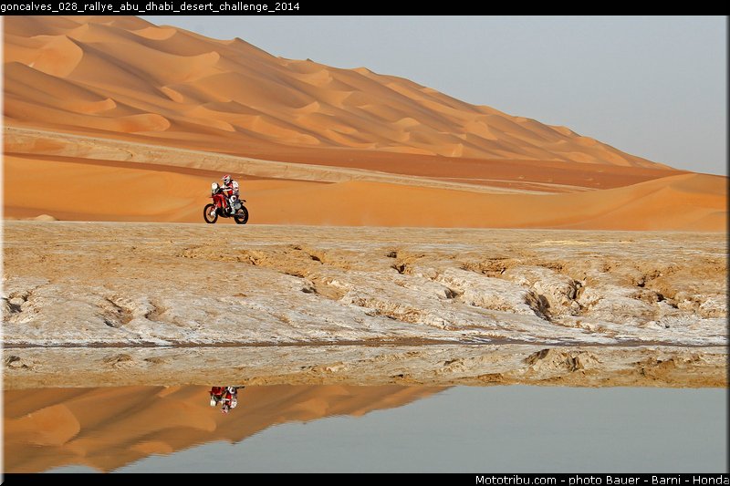 goncalves_028_rallye_abu_dhabi_desert_challenge_2014