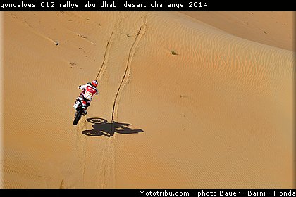 goncalves_012_rallye_abu_dhabi_desert_challenge_2014.jpg