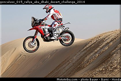 goncalves_015_rallye_abu_dhabi_desert_challenge_2014.jpg