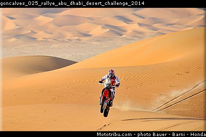 goncalves_025_rallye_abu_dhabi_desert_challenge_2014.jpg