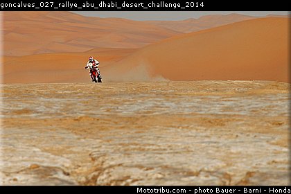 goncalves_027_rallye_abu_dhabi_desert_challenge_2014.jpg