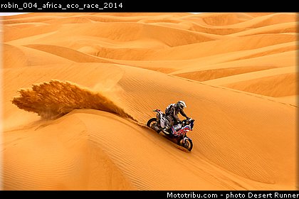 robin_004_africa_eco_race_2014.jpg