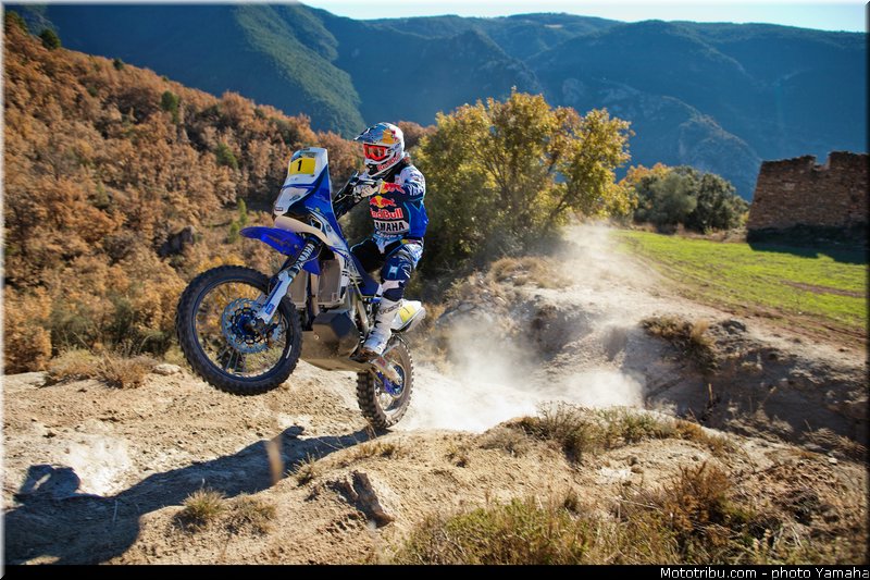despres_003_yamaha_racing_team_450f_rallye_dakar_2014_