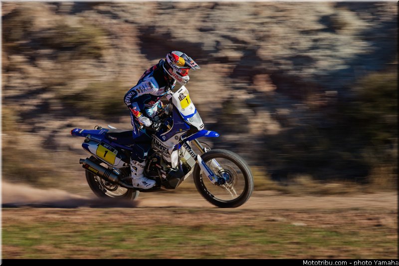 despres_008_yamaha_racing_team_450f_rallye_dakar_2014_