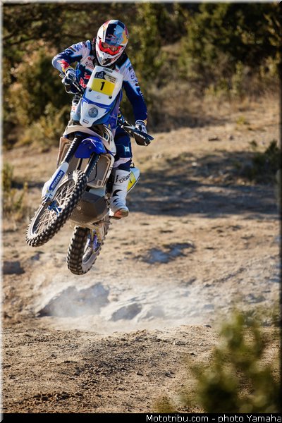 despres_013_yamaha_racing_team_450f_rallye_dakar_2014_