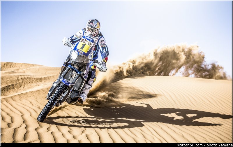 despres_015_yamaha_racing_team_450f_rallye_dakar_2014_