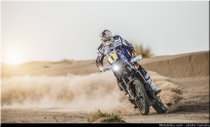 despres_016_yamaha_racing_team_450f_rallye_dakar_2014_