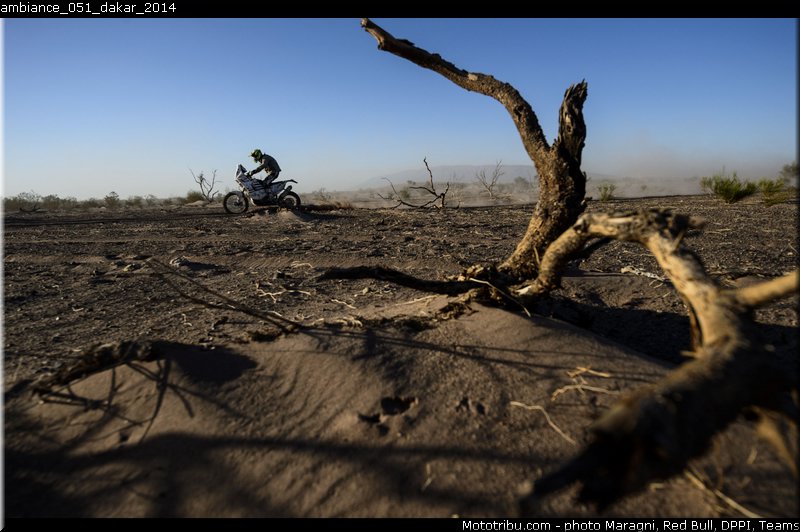 ambiance_051_dakar_2014