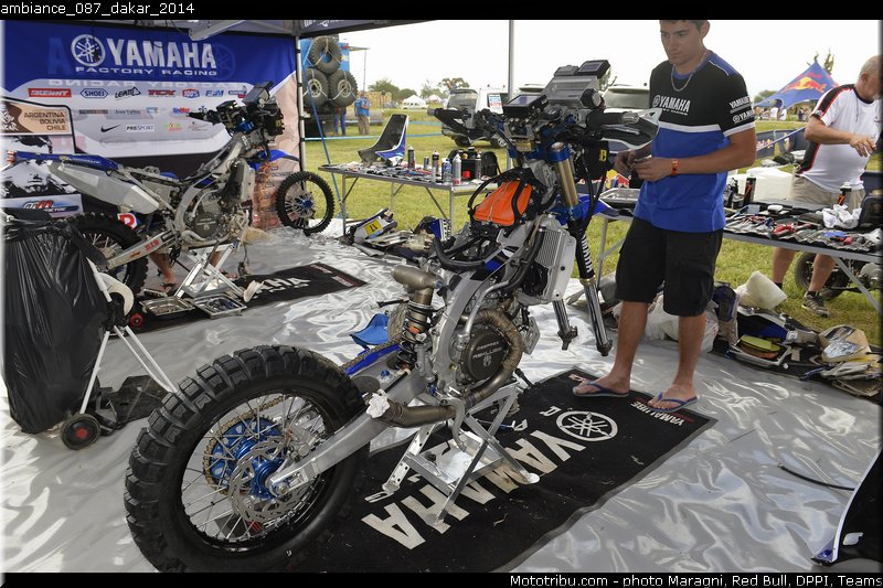 ambiance_087_dakar_2014