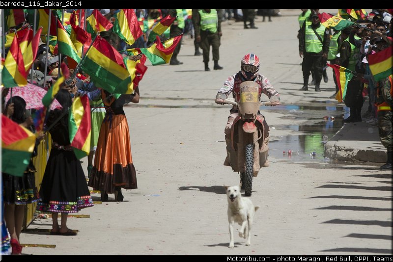 barreda_116_dakar_2014