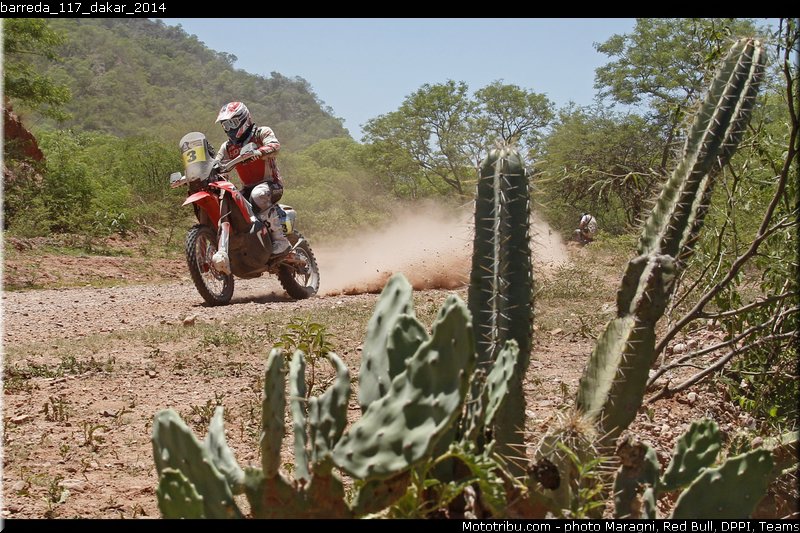barreda_117_dakar_2014