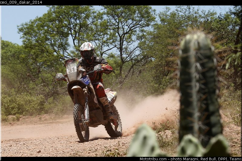 ceci_009_dakar_2014
